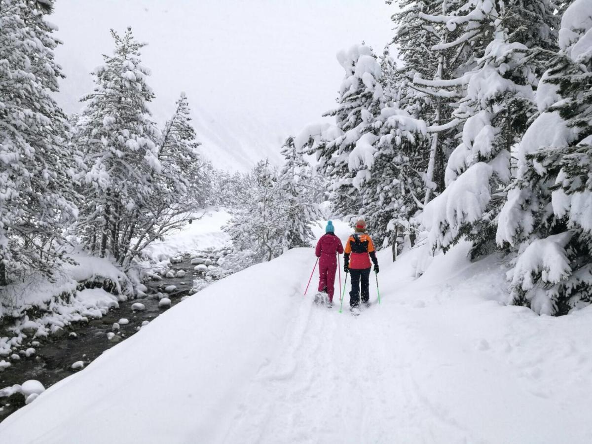 Riu Nere Mountain Hotel Vielha Zewnętrze zdjęcie